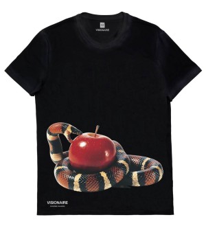 Visionaire_ART_CHALMERS_R1