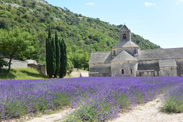 ラベンダーが咲き誇る南仏・セナンク修道院