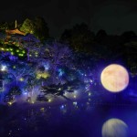 deab1471adb593028dfee29828d4538c